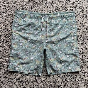 Ripndip Casual Board Shorts Peeking Cat Logo Print Men’s Light Green Size Small